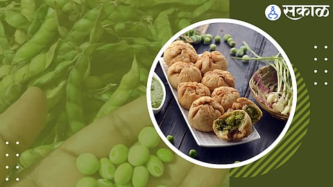 TURICHYA DANYACHI KACHORI