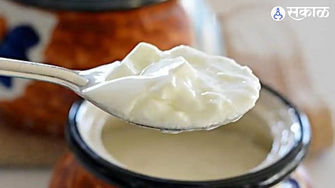 Curd in winter