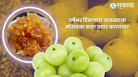 Amla Muramba