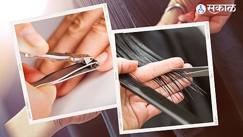 Hair  & Nail Cutting