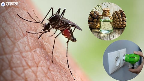 Mosquitoes Protection