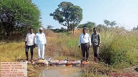 Forestry dams constructed in the taluka.
