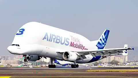 Airbus 'Beluga' comes from the Beluga whale