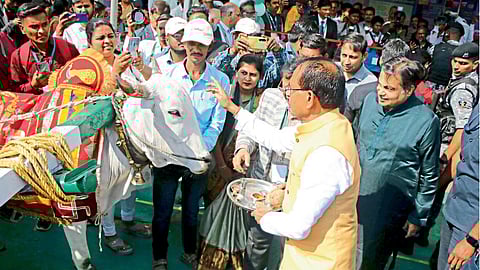 Nagpur News