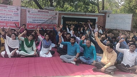 Animal Husbandry Department staff Agitation