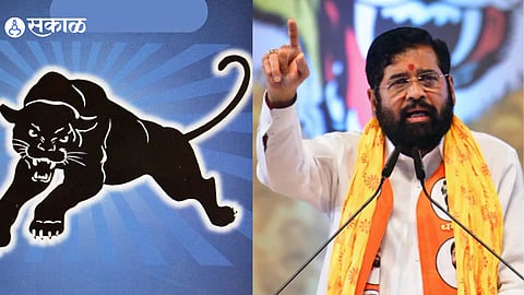 Maharashtra Politics