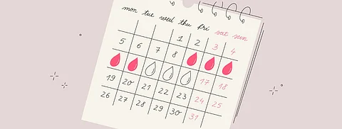 Prolong Menstrual Cycle