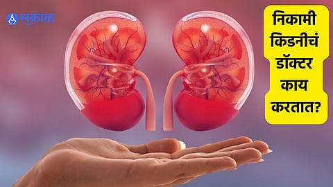 Kidney Transplant