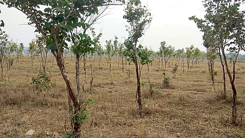 Kolhapur