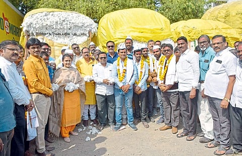 market cotton Parbhani