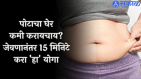 How to Lose Belly Fat