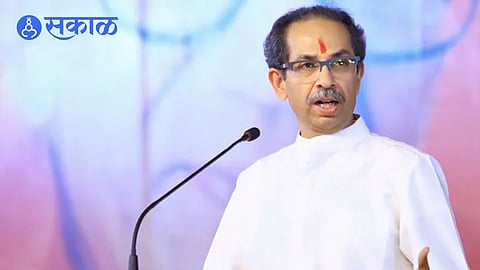 Uddhav Thackeray: उद्धव ठाकरेंचा एक निर्णय अन् स्मारकातील १२५ झाडांची कत्तल थांबली