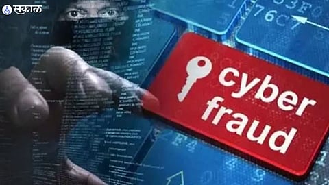 Cyber Fraud