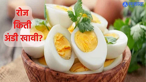 Egg