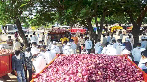 Onion sold in the market committee at lasalgaon