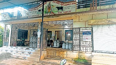 सीमावर्ती आदिवासी भागात धवलक्रांती !