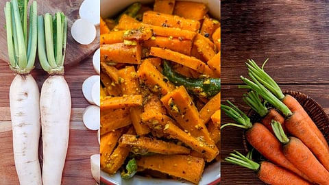 carrot and radish spicy