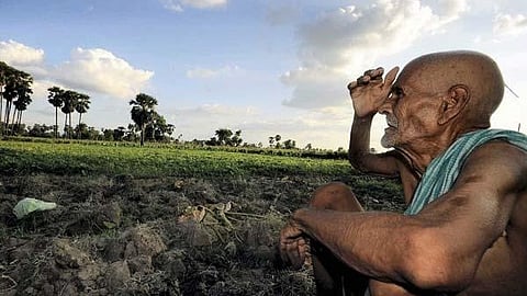 tensed farmer