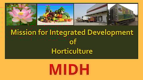 Integrated Horticulture Development Mission