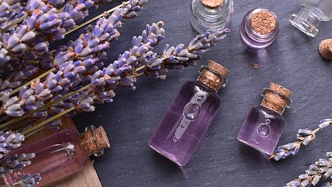 Lavender oil benefits