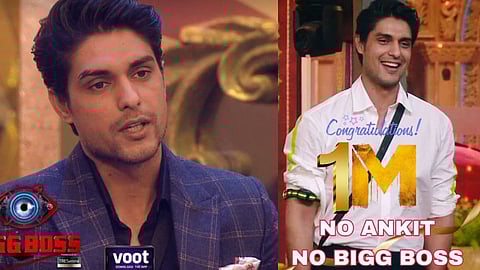 Bigg Boss 16
Ankit Gupta