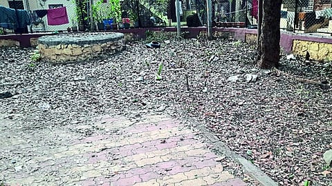 Garbage Empire in Maharana Pratap Park.