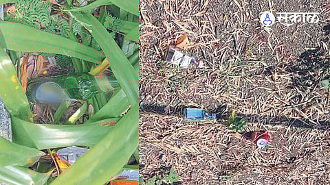 Bottles everywhere in garden