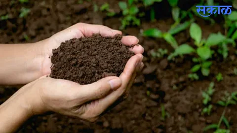 World soil day : तुम्हालाही माती खावीशी वाटतेय का ?