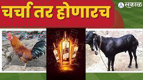 क्रिकेट