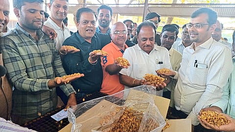 new currant has entered the market committee and traders have participated in the auction at Pimpalgaon Baswant