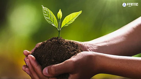 World Soil Day 2022
