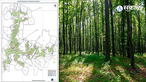 Reserved forest