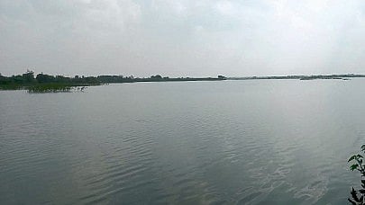 Agriculture News : कर्नाटकच्या पाण्यामुळे महाराष्ट्रातील शेती फुलली