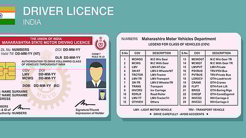 Driving License