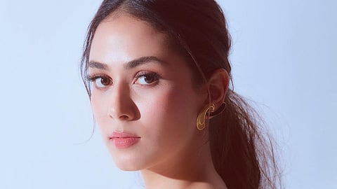 Shahid Kapoor's wife mira rajput reveals she was stopped at airport..