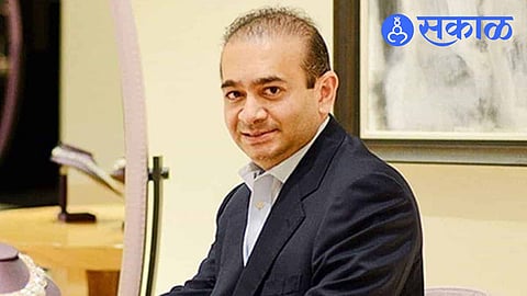 Nirav Modi News