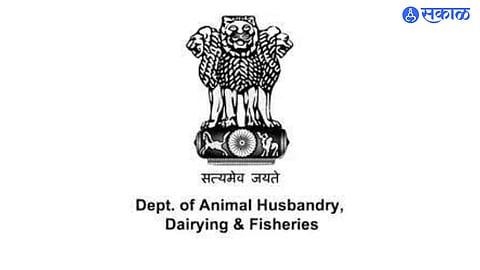 Department of Animal Husbandry