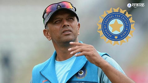 Indian Cricket Team Coach Rahul Dravid