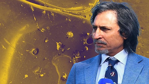 Pakistan Fan Shows Bird Poop On Seats During Pakistan Vs England In Multan Stadium