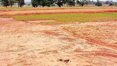 Land