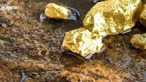 Gold mines were again Maharashtra state Information from GSI survey