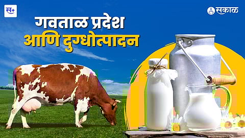 गवत आणि दुग्धोत्पादन