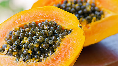 Papaya