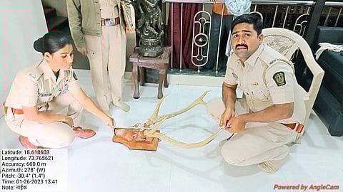 थेरगावात सांभर प्रजातीची शिंगे, कवटी जप्त