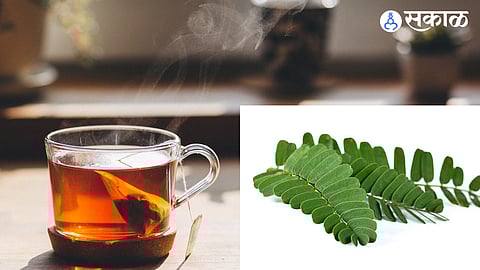 tamarind leaf tea