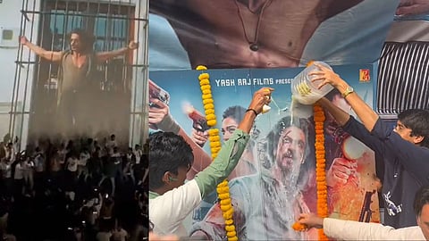 pathaan, shah rukh khan, shah rukh khan fans celebration