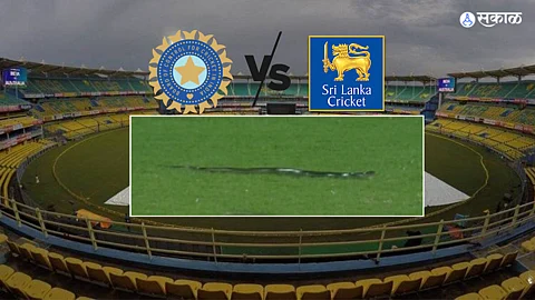 india vs sri lanka snake repellents pest controllers