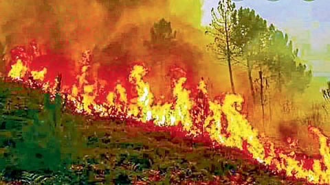 Fire control training to be given by NDRF three teams will guided February 6