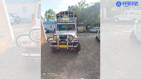 Cow Transport Pick Up