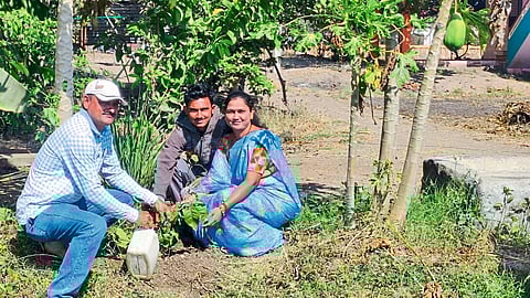 Malegaon: Ujwala and Anil Bachhao in Soygaon area while planting a bela sapling near their house